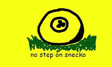 Don't tread on me flag with the Snecko Eye flag.