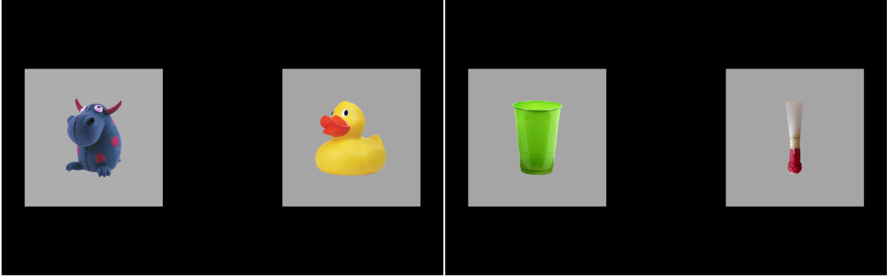 Example displays for a trial in which duck is mispronounced as “guck” (left) and a trial in which the nonword shann is presented (right).