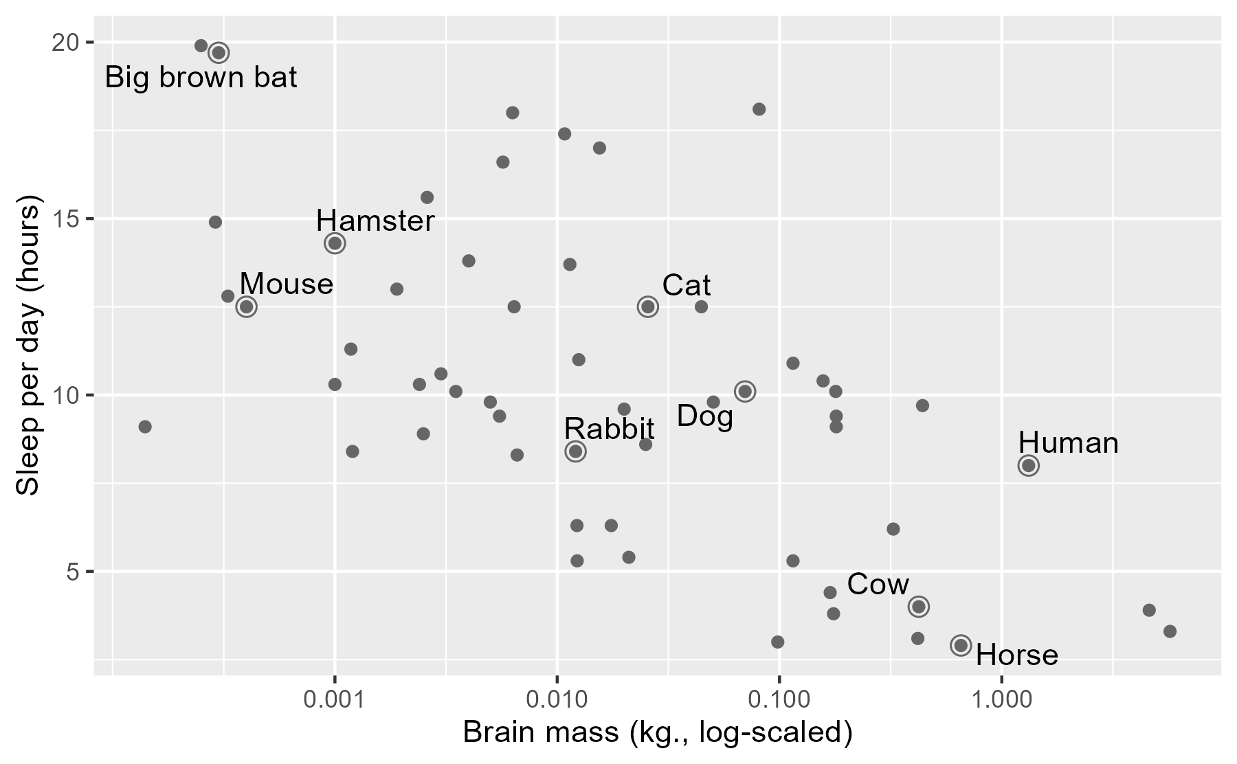 Brain mass by sleep hours, now with both on a log-10 scale. Some species have their data highlighted.